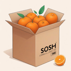 Jusqu’à 100€ remboursés : passez à la box internet pas chère de Sosh et profitez de la fibre Orange !